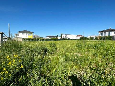 Pottendorf Grundstücke, Pottendorf Grundstück kaufen