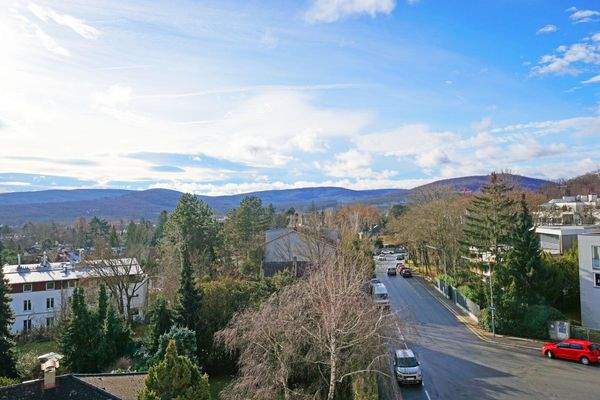 Ausblick vom Wohnzimmer bis zum Lainzer Tiergarten