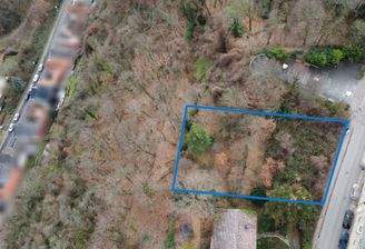 Luftaufnahme Grundstück