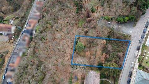 Bad Dürkheim Grundstücke, Bad Dürkheim Grundstück kaufen