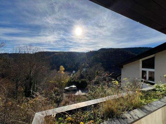 Balkon mit Aussicht im EG