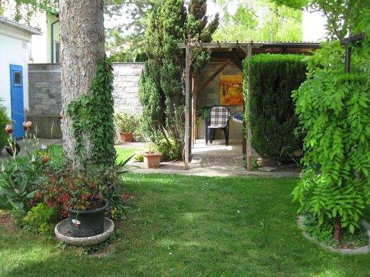 Garten im Sommer mit Terrasse