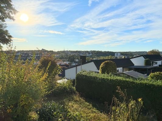 REH in Würzburg-Versbach - Blick vom Garten