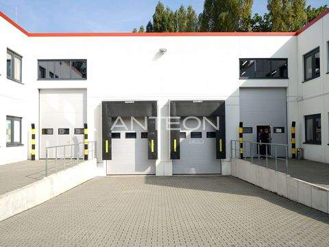 Düsseldorf Halle, Düsseldorf Hallenfläche