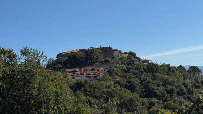 F37C297D-B17E-445D-9860-C1C94B664A99_1_102_a