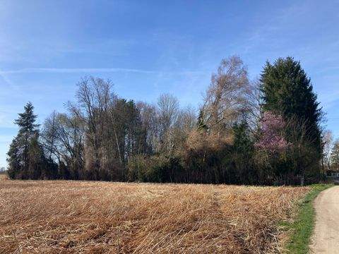 Friedberg-Derching Grundstücke, Friedberg-Derching Grundstück kaufen