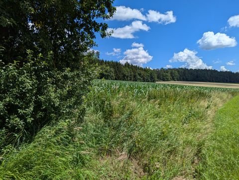 Betzenstein Grundstücke, Betzenstein Grundstück kaufen