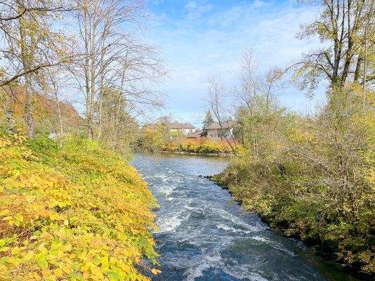 Wunderschöne Natur am Haus