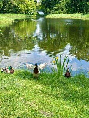 Natur & Leben im Schlosspark