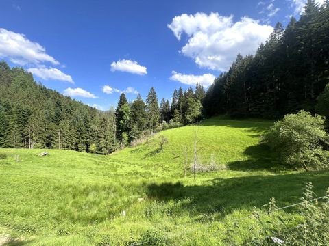 Oberwolfach Häuser, Oberwolfach Haus kaufen