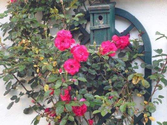 Anfang mit Blumengruß