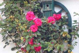 Anfang mit Blumengruß