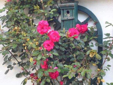 Bad Bevensen Wohnungen, Bad Bevensen Wohnung kaufen