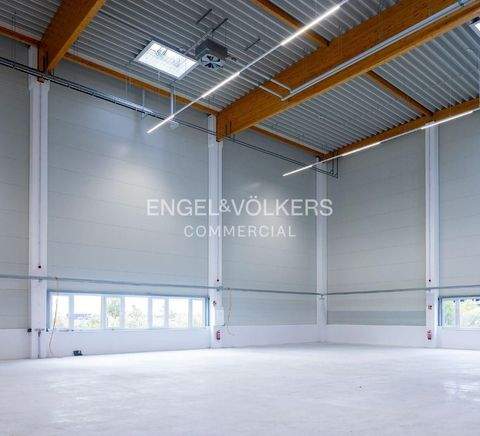 Berlin Halle, Berlin Hallenfläche