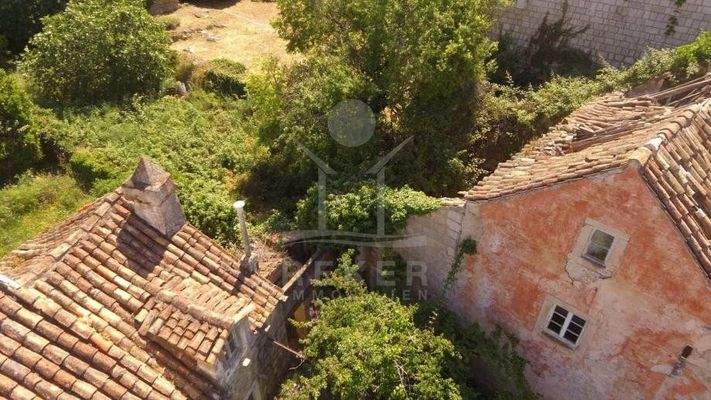 Eine mediterrane Bepflanzung ziert den Garten