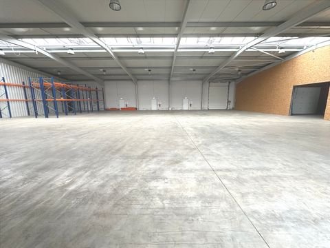 Wittlich Halle, Wittlich Hallenfläche