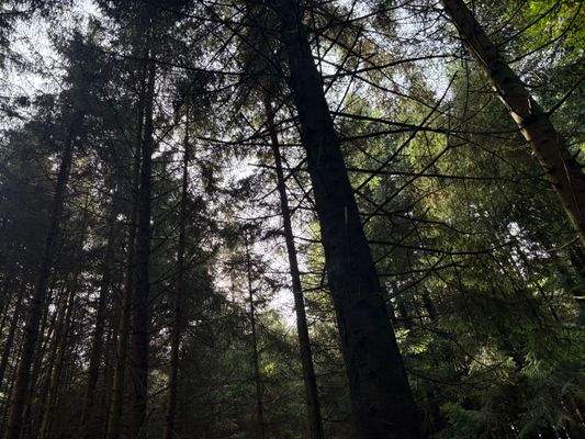 2025-10-08 15.01.29.jpg