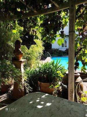 Terrasse unter Weinranken