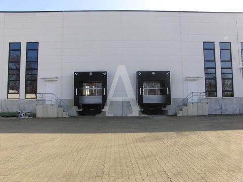 Meckenheim Halle, Meckenheim Hallenfläche