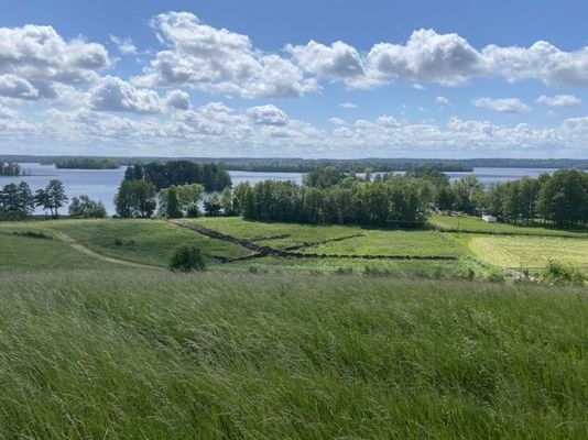 Ausblick Sommer 