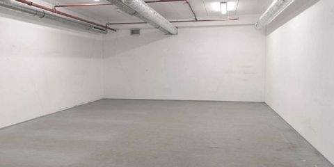 Cottbus Halle, Cottbus Hallenfläche