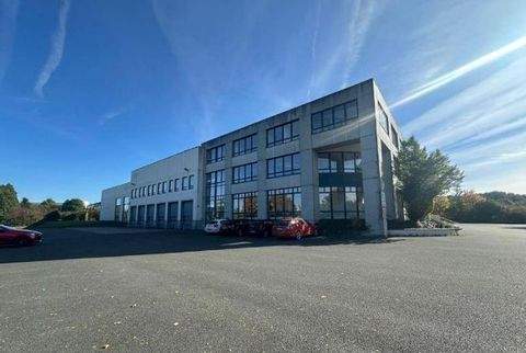 Paderborn Halle, Paderborn Hallenfläche