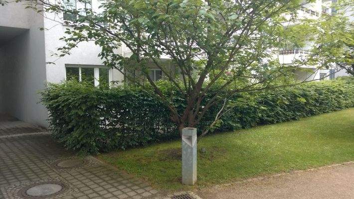 gepflegte Außenanlage im Hof