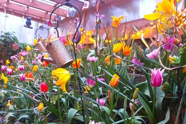 Blütentraum zu jeder Jahreszeit