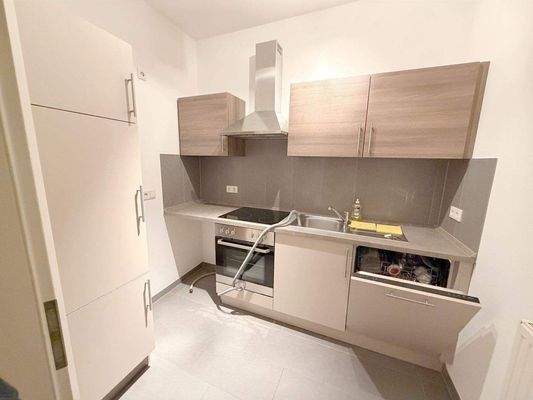 Einbauküche mit Geschirrspüler 