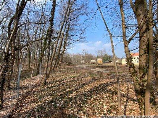 Eine weitere Ansicht