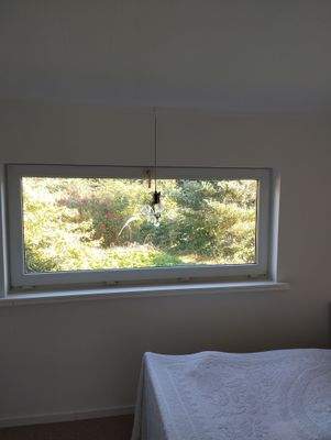 Blick aus dem Schlafzimmer in den Garten