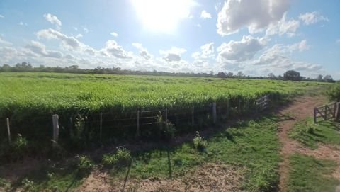 Colonia Paratodo Bauernhöfe, Landwirtschaft, Colonia Paratodo Forstwirtschaft