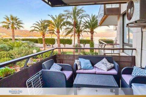 Palmanova Wohnungen, Palmanova Wohnung mieten