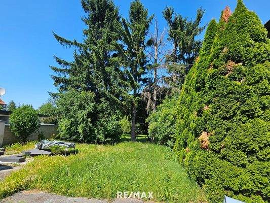 Garten Ausblick vom Gang