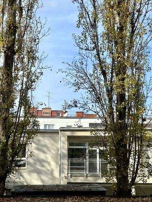 20251118_110834713_iOS