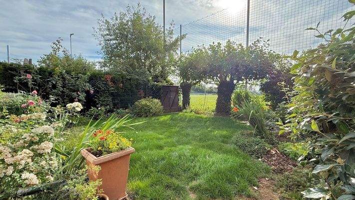 Blick in die kleine, grüne Oase