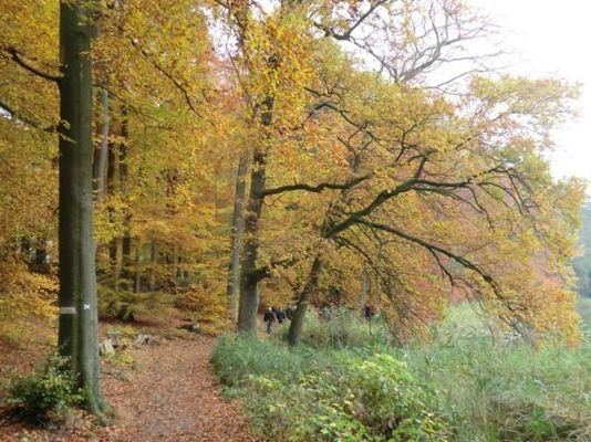 Umgebung in Herbstfarben