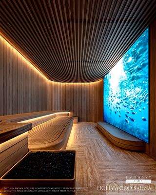 Sauna mit Widescreen