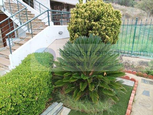 ZWF Alykes Volos (56)