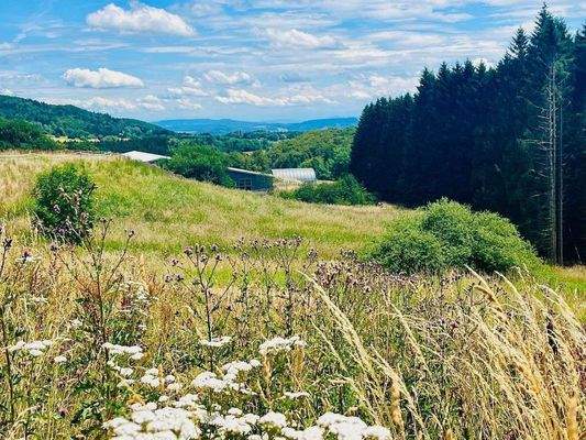 Blick auf Reitanlage