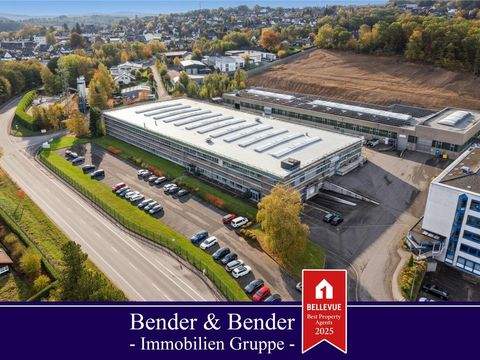 Wissen Halle, Wissen Hallenfläche