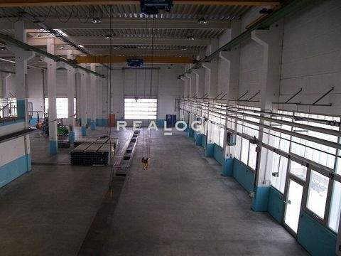 Gallmersgarten Halle, Gallmersgarten Hallenfläche