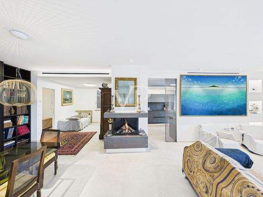Villa 1 salone con camino