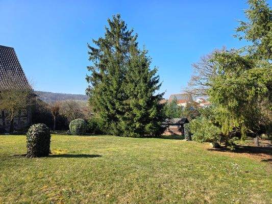 Großzügige Außenanlagen