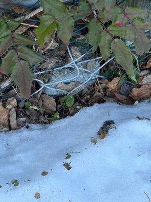 PHOTO-2026-01-21-14-43-10_1