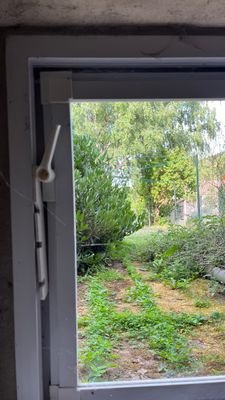 IMG_3253.JPEG