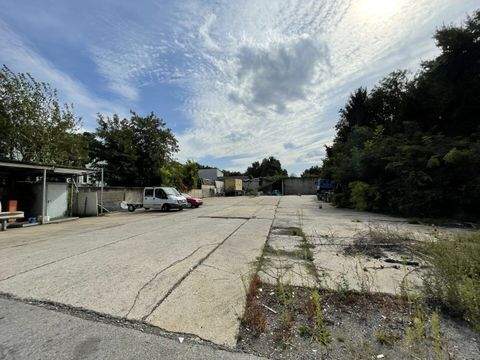 Zagersdorf Halle, Zagersdorf Hallenfläche