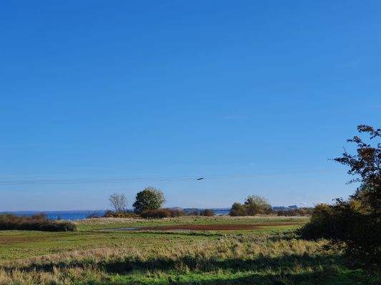 Landschaft direkt nebenan