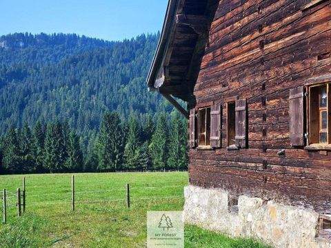 Balderschwang Renditeobjekte, Mehrfamilienhäuser, Geschäftshäuser, Kapitalanlage