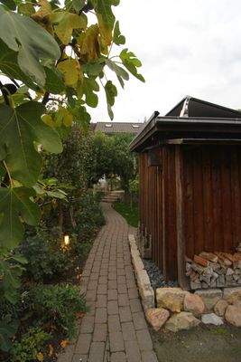 Garten Richtung Terrasse.JPG